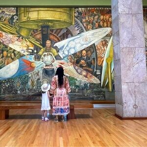 Zimmerman dress worn once.